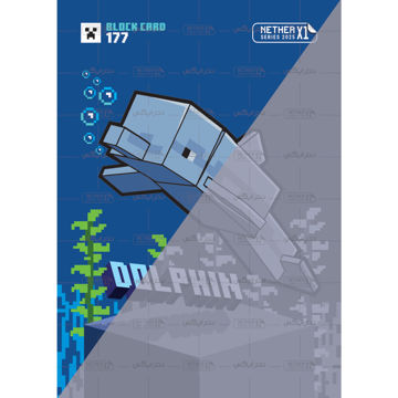 کارت شماره 177 ماینکرافت 2025 - دلفین - Dolphin