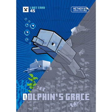 کارت شماره 45 ماینکرافت 2025 - لطف دلفین - Dolphin's grace
